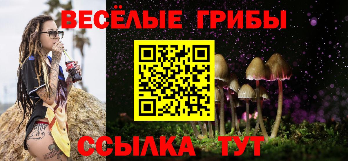Псилоцибиновые грибы Cubensis Верхняя Пышма